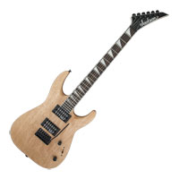 Jackson - JS Series Dinky Arch Top JS22 DKA - Natural Oil