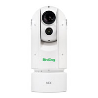 BirdDog A300 Gen 2 NDI PTZ Camera (White)