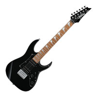 Ibanez - GRGM21 - Black Night