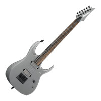 Ibanez RGD61ALET Axion Label Metallic Grey Matte