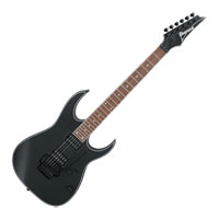 Ibanez - RG320EXZ - Black Flat