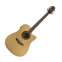 Fairclough Lagan Dreadnought Cutaway Electro Acoustic Guitar