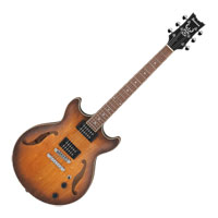 Ibanez - AM53 - Tobacco Flat