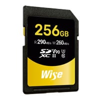 Wise Pro SDXC V90 256GB