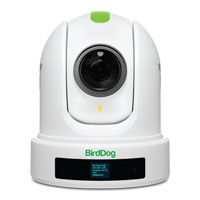 BirdDog P120 NDI PTZ Camera (White)