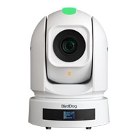 BirdDog P240 NDI PTZ Camera (White)