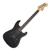 Fender Jim Root Stratocaster - Flat Black