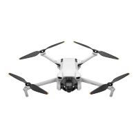 DJI Mini 3 Drone (No RC)