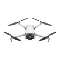 DJI Mini 3 Drone (No RC)