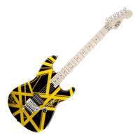 EVH Striped Series Black with Yellow Stripes