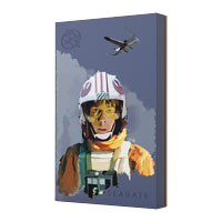 Seagate Luke Skywalker Special Edition 2TB External Hard Drive