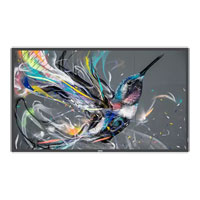 Philips 43" 43BDL3511Q/00 4K UHD Slim Signage Panel