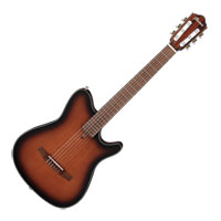 Ibanez FRH10N Electro Acoustic Guitar - Brown Sunburst Flat