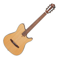 Ibanez FRH10N Electro Acoustic Guitar - Natural Flat