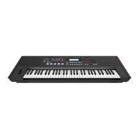 Roland E-X50 Entertainment Keyboard