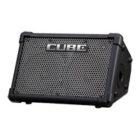 Roland CUBE Street EX Flagship 25W + 25W Stereo Battery Powered Amp With Cosm (Black)