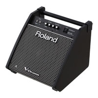 Roland PM-100 80-Watt Personal Monitor