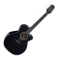 Takamine TK-GN30CE-BLK Black Gloss