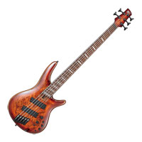 Ibanez SRMS805 5-String Bass Guitar - Brown Topaz Burst