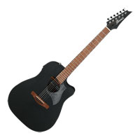 Ibanez ALT20-WK Weathered Black Open Pore