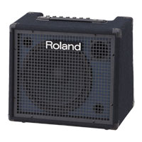 Roland KC-200 Mixing Keyboard Amplifier