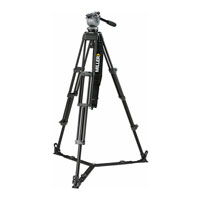 Miller DS20 848 Toggle 2 Stage Alloy Tripod
