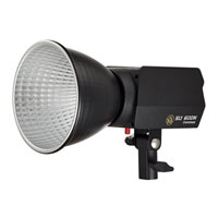 iFootage Anglerfish SL1 60DN LED Light