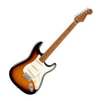 Fender Limited Edition Player Stratocaster®, Roasted Maple Fingerboard, 2-Colour Sunburst
