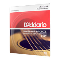 D'Addario EJ17 Phosphor Bronze Acoustic Guitar Strings, Medium, 13-56