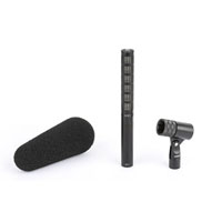 DPA 2017 Directional Microphone
