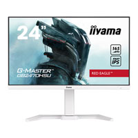 Iiyama 24" Full HD 165Hz FreeSync IPS Gaming Monitor