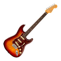 Fender - 70th Anniversary Am Pro II Strat - Comet Burst