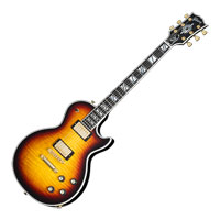 Gibson Les Paul Supreme Fireburst