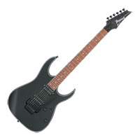 Ibanez - RG420EX-BKF - Black Flat