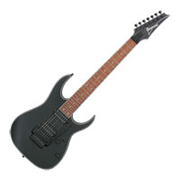 Ibanez - RG7420EX-BKF Black Flat