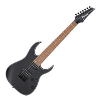 Ibanez - RG7421EX-BKF - Black Flat