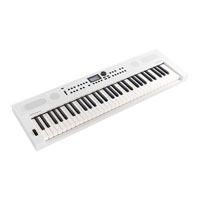 Roland GO:KEYS 5 Music Creation Keyboard (White)