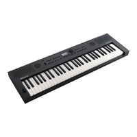 Roland GO:KEYS 5 Music Creation Keyboard (Graphite)