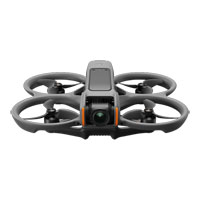 DJI Avata 2 (Drone Only)