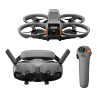 DJI Avata 2 Fly More Combo (1 Battery)