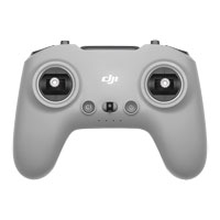 DJI FPV Remote Controller 3