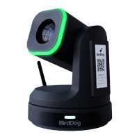 BirdDog X1 HD PTZ Camera (Black)