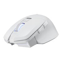 PowerColor ALPHYN AM10 White Optical Wired/Wireless Gaming Mouse