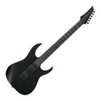 Ibanez RGRTBB21 Baritone Black Flat
