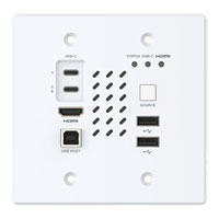 Turtle AV Chaxy 4K Wall Plate TX