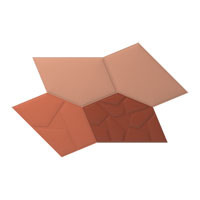 Vicoustic GEN_VMT Penray 2 Tiles - Box of 12, Coral
