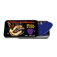 Snarling Dogs 351 Brain Picks - PURPLE .60mm - 12PC Tin