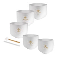 Meinl Sonic Energy 5-piece TCM Crystal Singing Bowl Elements Set