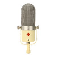 (Open Box) Golden Age Audio R1 Mk II Vintage Style Ribbon Microphone