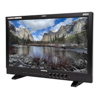 Flanders Scientific DM211 Reference Monitor